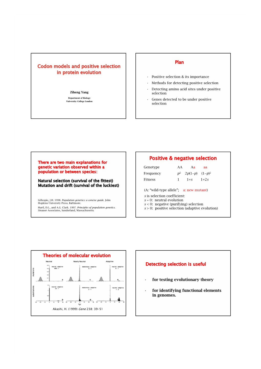 Positive & Negative Selection