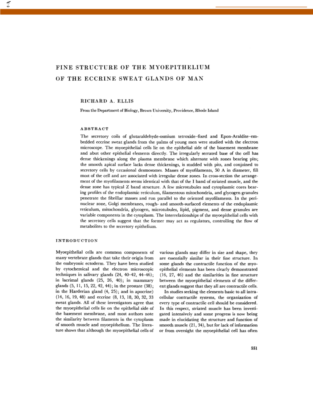 Fine Structure of the Myoepithelium of The