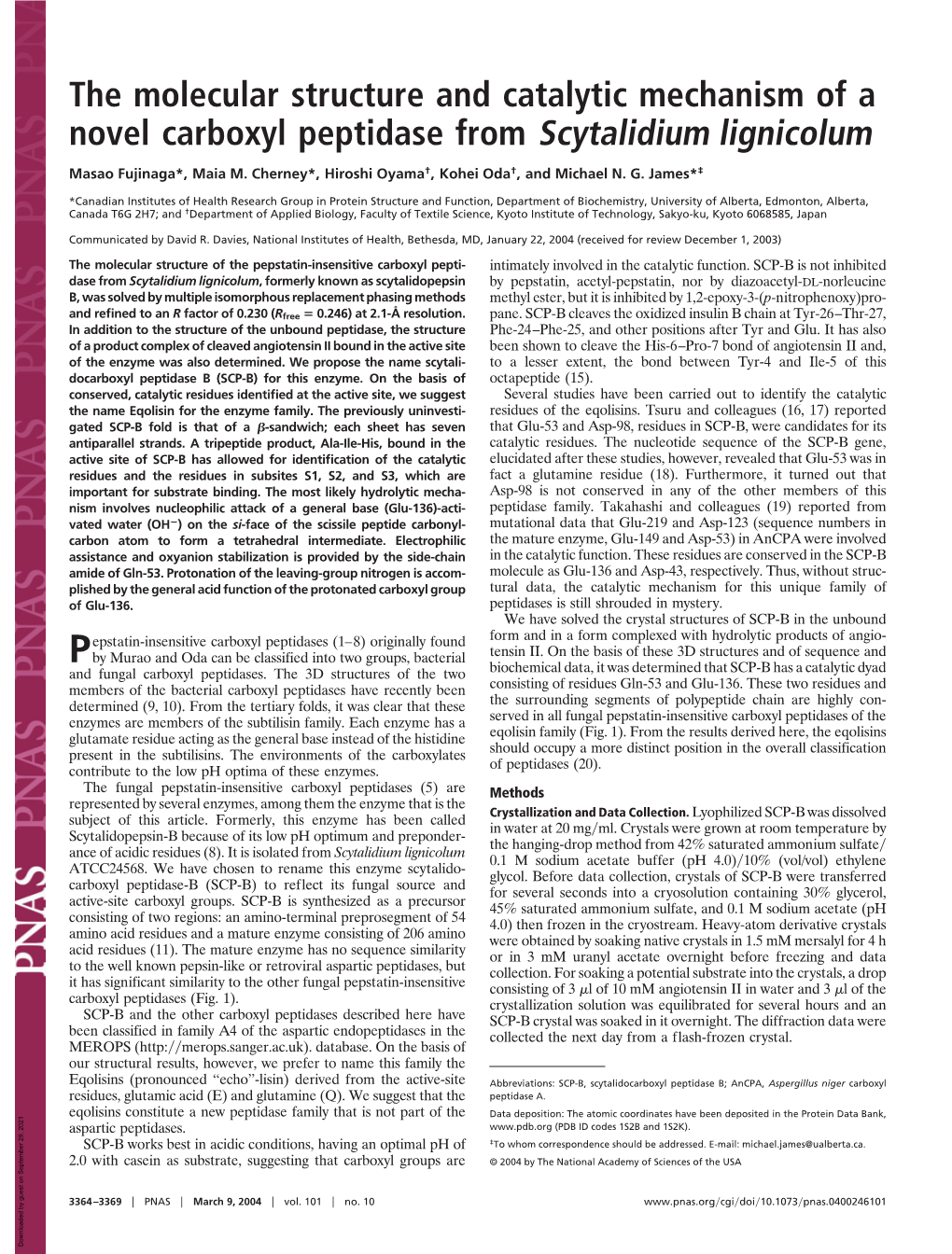 The Molecular Structure and Catalytic Mechanism of a Novel Carboxyl Peptidase from Scytalidium Lignicolum