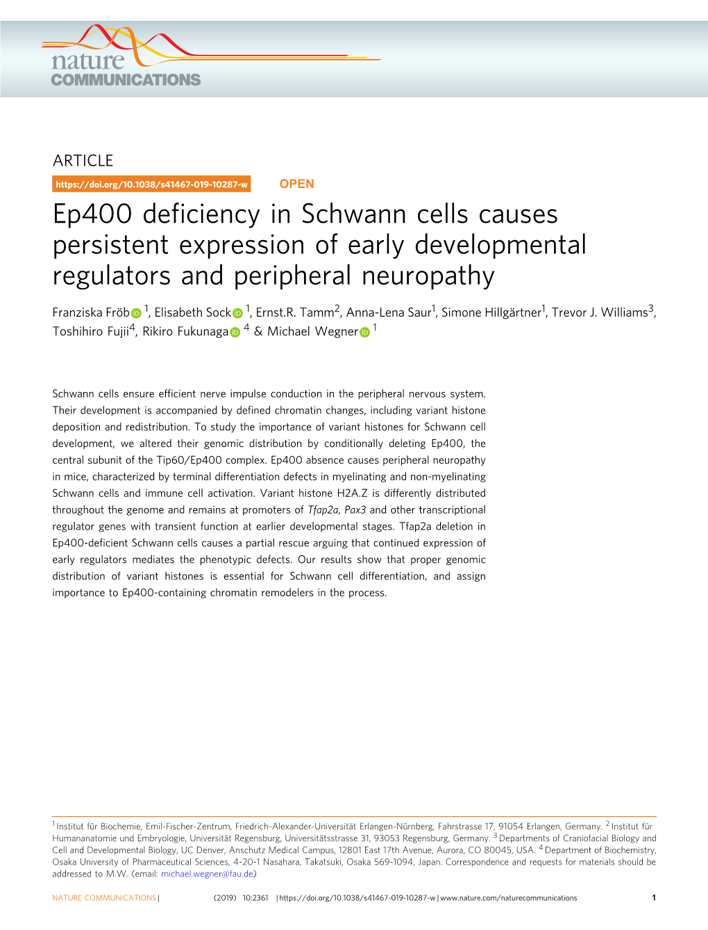 Ep400 Deficiency in Schwann Cells Causes Persistent Expression Of