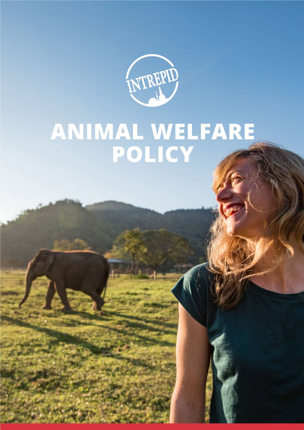 Read Our Full Animal Welfare Policy