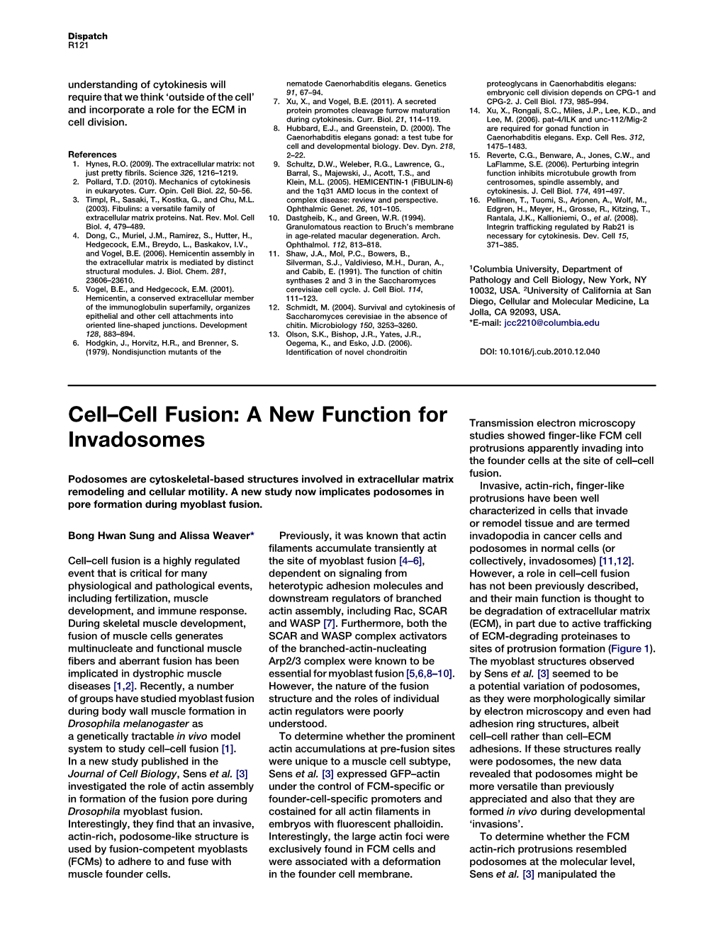 Cell-Cell Fusion: a New Function for Invadosomes
