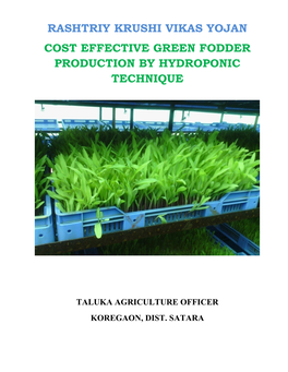 Cost Effective Green Fodder Production by Hydroponic Technique