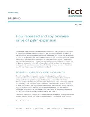 How Rapeseed and Soy Biodiesel Drive Oil Palm Expansion
