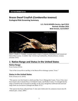 Brazos Dwarf Crayfish (Cambarellus Texanus) Ecological Risk Screening Summary