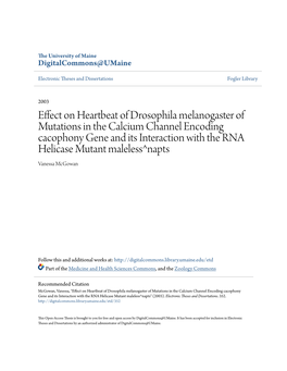 Effect on Heartbeat of Drosophila Melanogaster of Mutations in the Calcium Channel Encoding Cacophony Gene and Its Interaction W