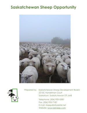 Saskatchewan Sheep Opportunity