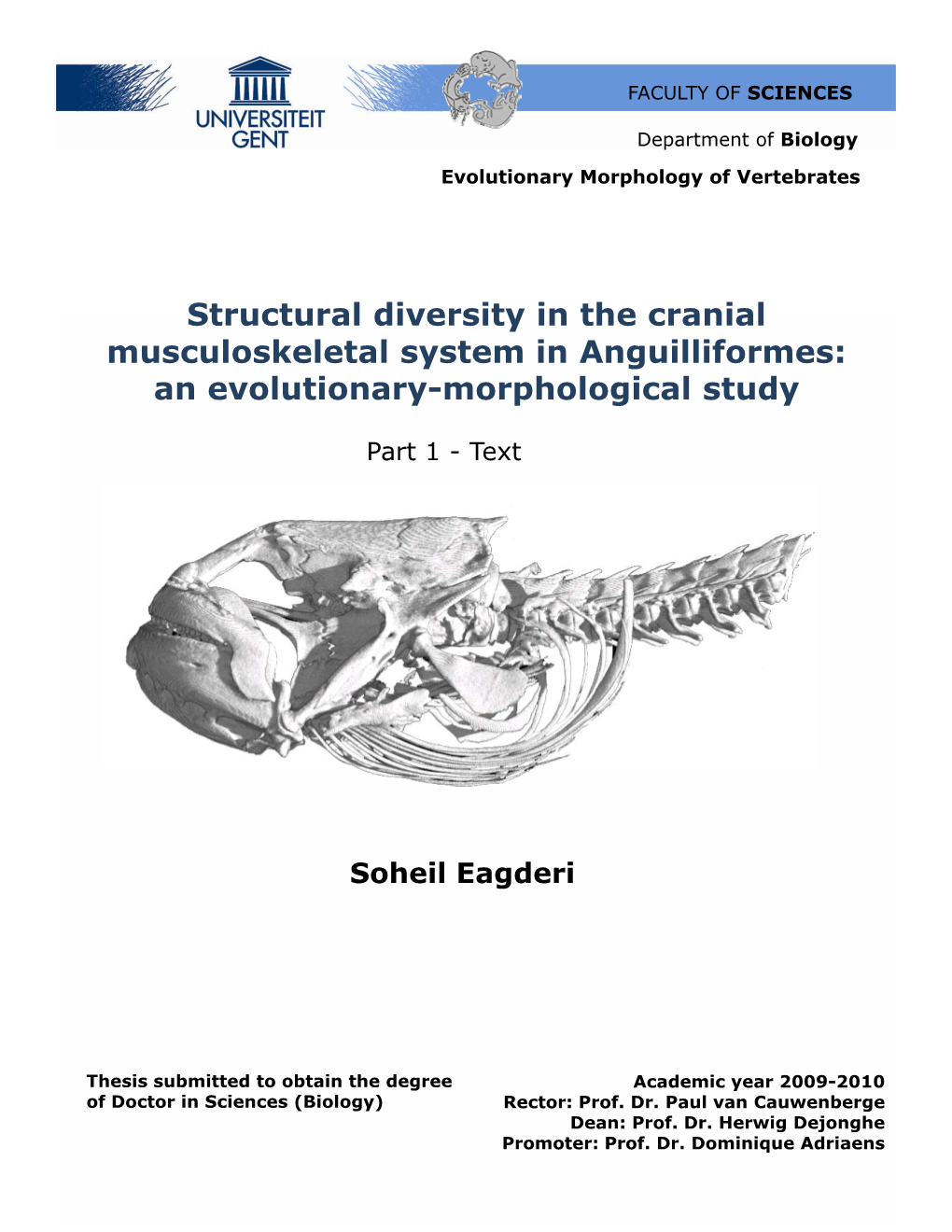 An Evolutionary-Morphological Study