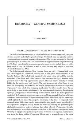 Diplopoda — General Morphology