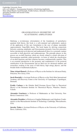 Grassmannian Geometry of Scattering Amplitudes