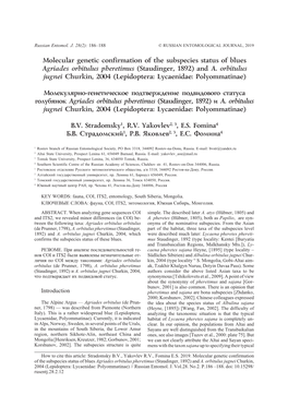 Molecular Genetic Confirmation of the Subspecies Status of Blues Agriades Orbitulus Pheretimus (Staudinger, 1892) and A