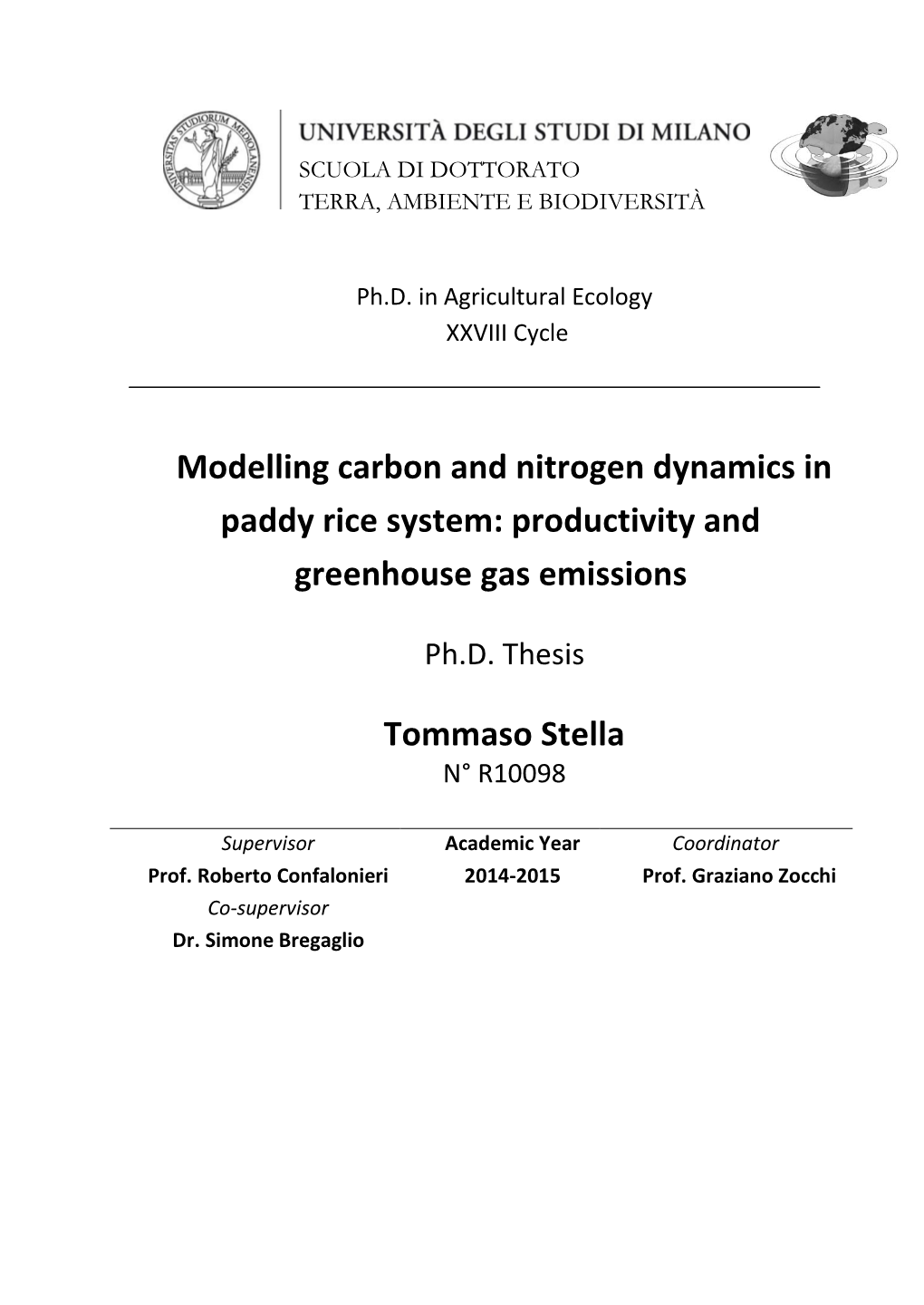 Modelling Carbon and Nitrogen Dynamics in Paddy Rice System: Productivity and Greenhouse Gas Emissions