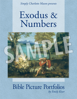 Bible Picture Portfolios: Exodus and Numbers