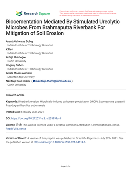 Biocementation Mediated by Stimulated Ureolytic Microbes from Brahmaputra Riverbank for Mitigation of Soil Erosion