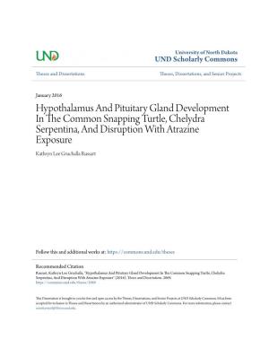 Hypothalamus and Pituitary Gland Development in the Common Snapping Turtle, Chelydra Serpentina, and Disruption with Atrazine Exposure
