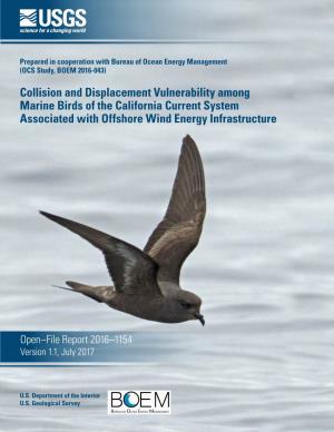 Collision and Displacement Vulnerability Among Marine Birds of the California Current System Associated with Offshore Wind Energy Infrastructure