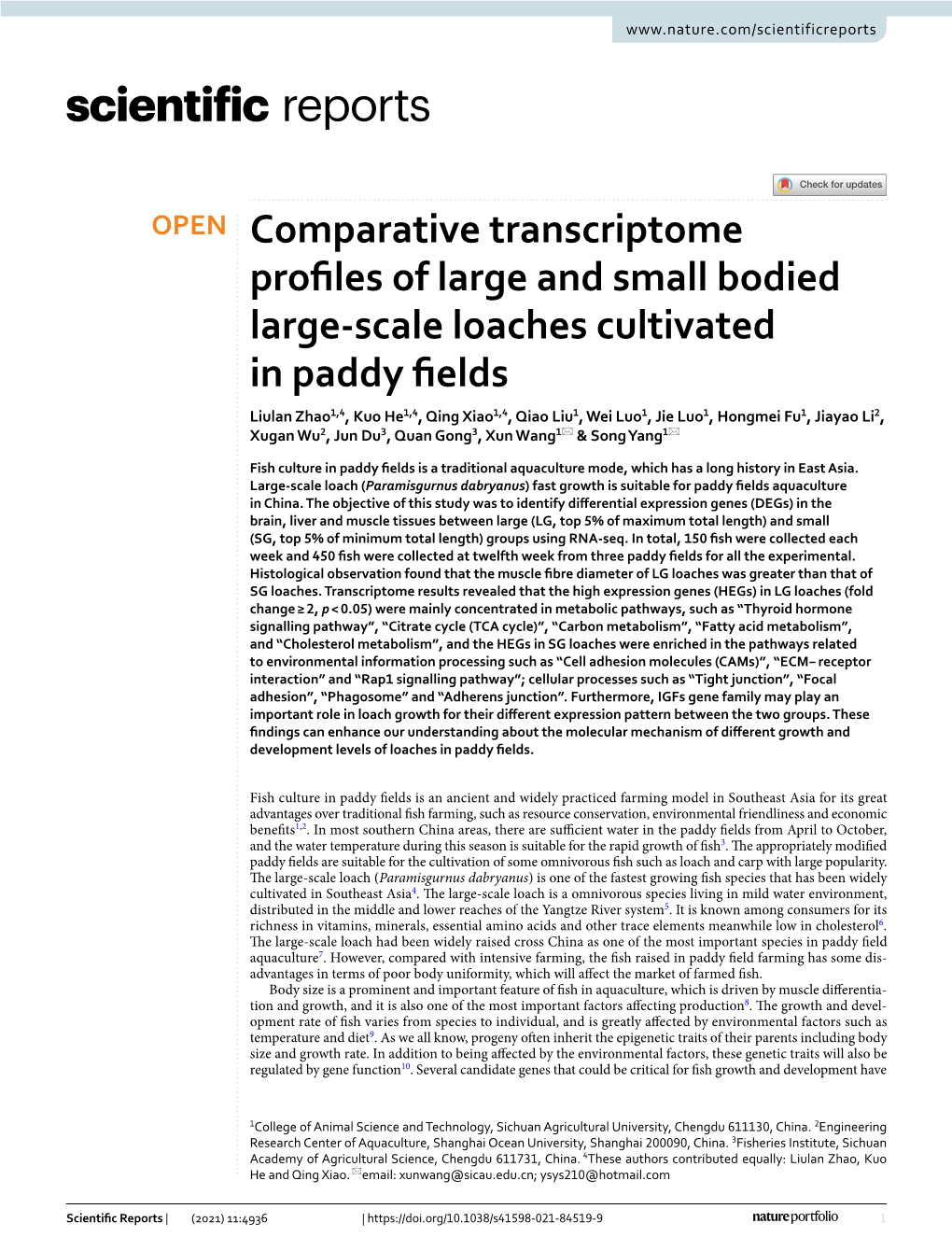 Comparative Transcriptome Profiles of Large and Small Bodied Large-Scale