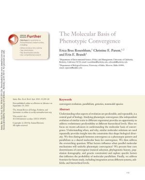 The Molecular Basis of Phenotypic Convergence