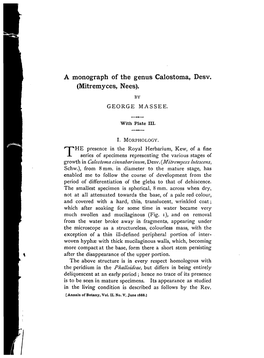 A Monograph of the Genus Calostoma, Desv. (Mitremyces, Nees)