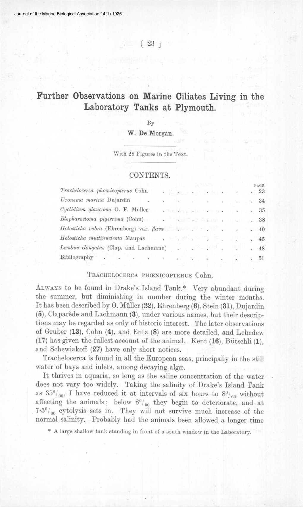 Further Observations on Marine Ciliates Living in the Laboratory Tanks at Plymouth