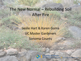 Rebuilding Soil After a Fire