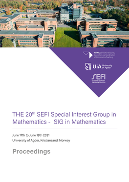Proceedings 2 the 20Th SEFI Special Interest Group in Mathematics - SIG in Mathematics