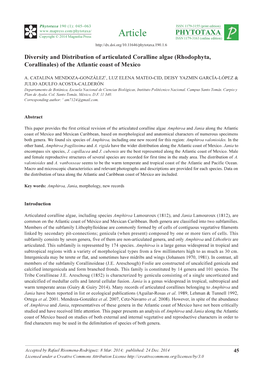 Diversity and Distribution of Articulated Coralline Algae (Rhodophyta, Corallinales) of the Atlantic Coast of Mexico