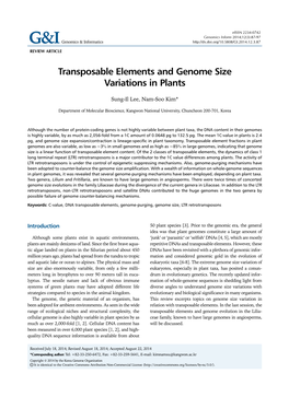 Transposable Elements and Genome Size Variations in Plants