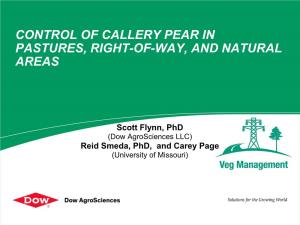 Control of Callery Pear in Pastures, Right-Of-Way, and Natural Areas