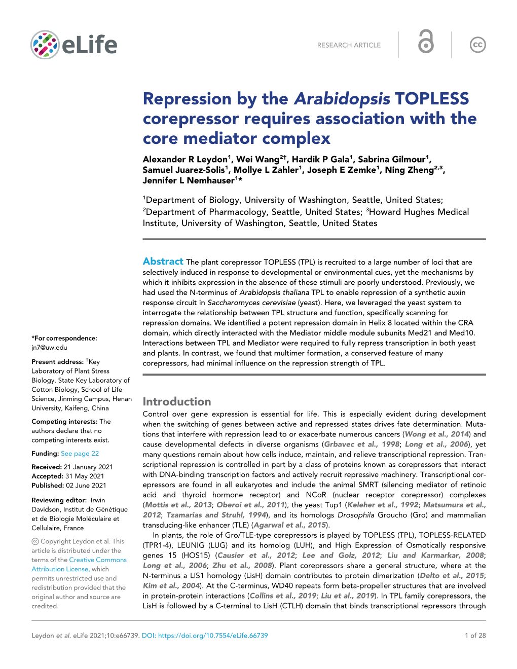 Repression by the Arabidopsis TOPLESS Corepressor Requires