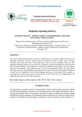 Hedgehog Signaling Pathway