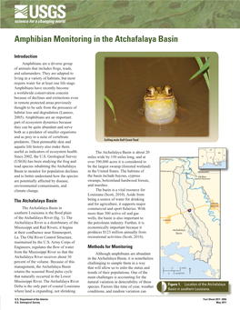 Amphibian Monitoring in the Atchafalaya Basin