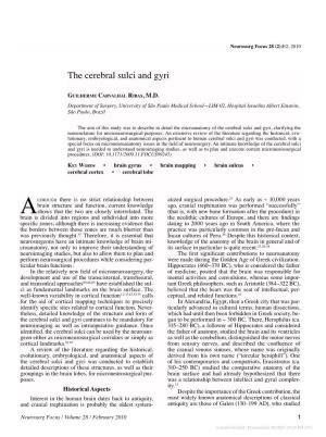 The Cerebral Sulci and Gyri