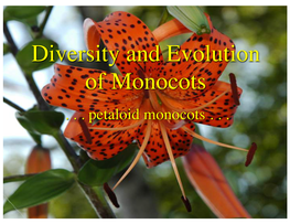 Diversity and Evolution of Monocots