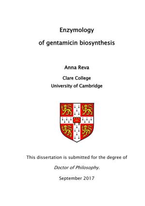 Enzymology of Gentamicin Biosynthesis