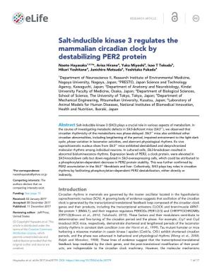 Salt-Inducible Kinase 3 Regulates the Mammalian Circadian Clock By
