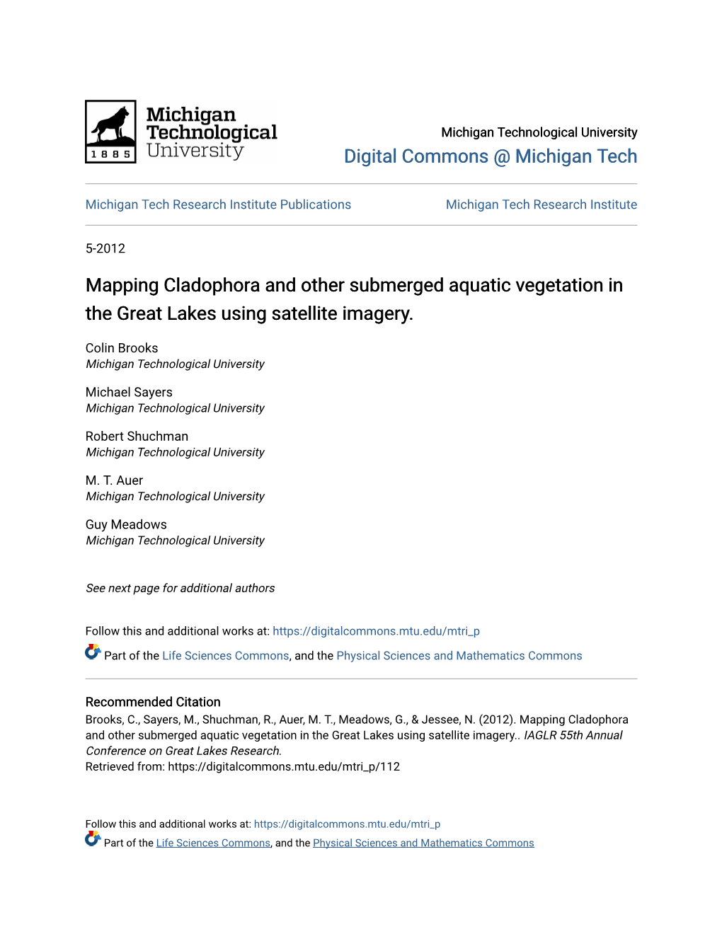 Mapping Cladophora and Other Submerged Aquatic Vegetation in the Great Lakes Using Satellite Imagery