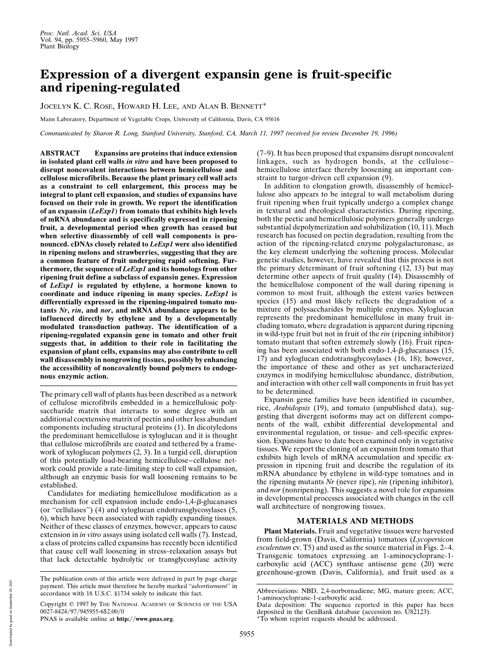 Expression of a Divergent Expansin Gene Is Fruit-Specific and Ripening-Regulated