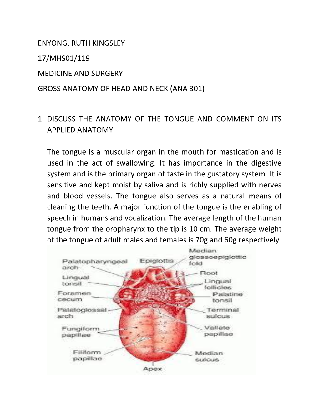 Enyong, Ruth Kingsley 17/Mhs01/119 Medicine and Surgery Gross Anatomy of Head and Neck (Ana 301)