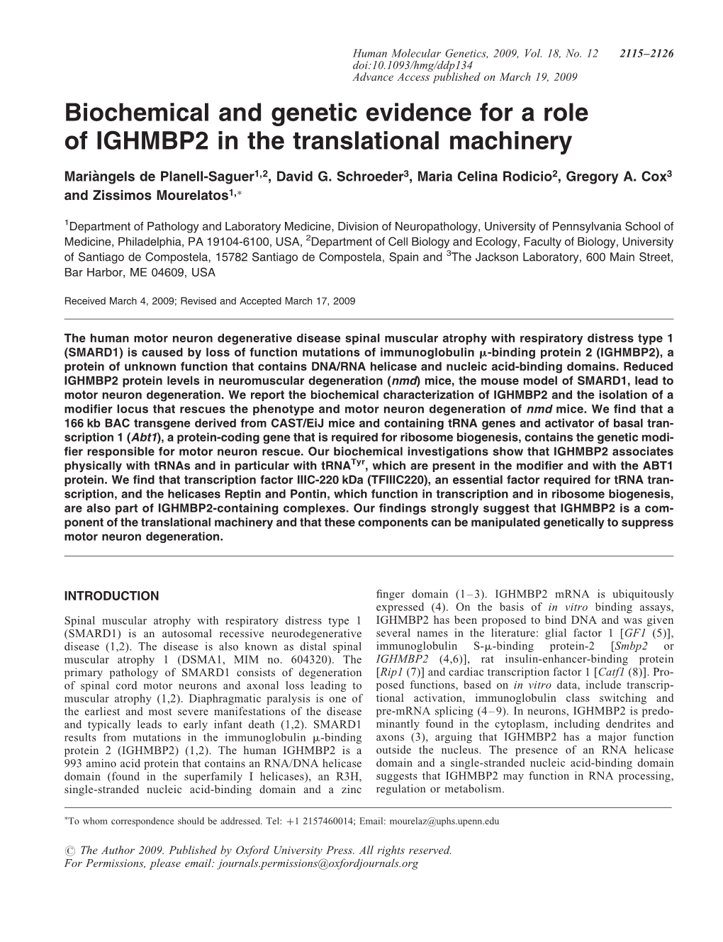 Biochemical and Genetic Evidence for a Role of IGHMBP2 in the Translational Machinery