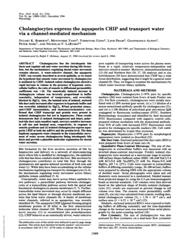 Cholangiocytes Express the Aquaporin CHIP and Transport Water Via a Channel-Mediated Mechanism STUART K