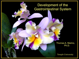 8 Development of the GI Sysem