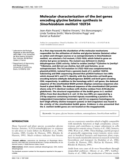 Molecular Characterization of the Bet Genes Encoding Glycine Betaine Synthesis in Sinorhizobium Meliloti 102F34