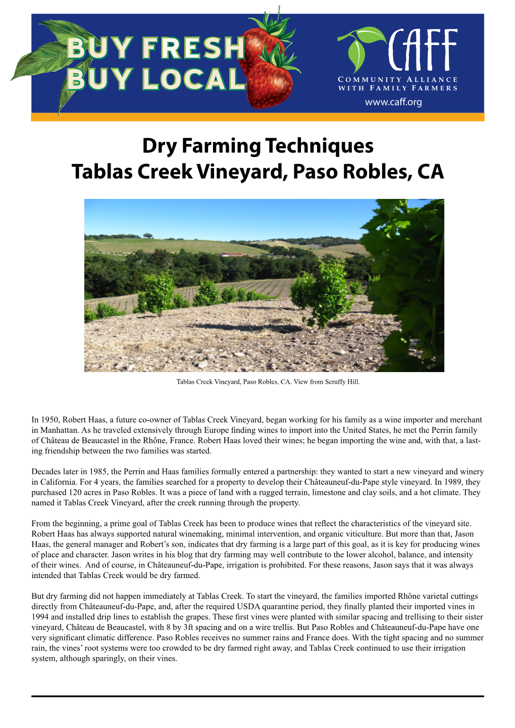 Dry Farming Techniques Tablas Creek Vineyard, Paso Robles, CA