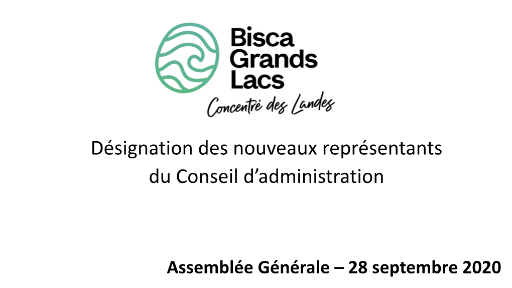 Composition Du Conseil D'administration