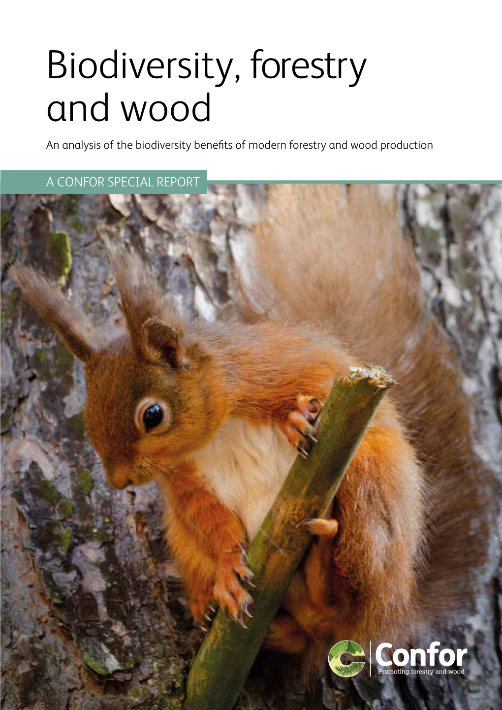 Biodiversity, Forestry and Wood an Analysis of the Biodiversity ...