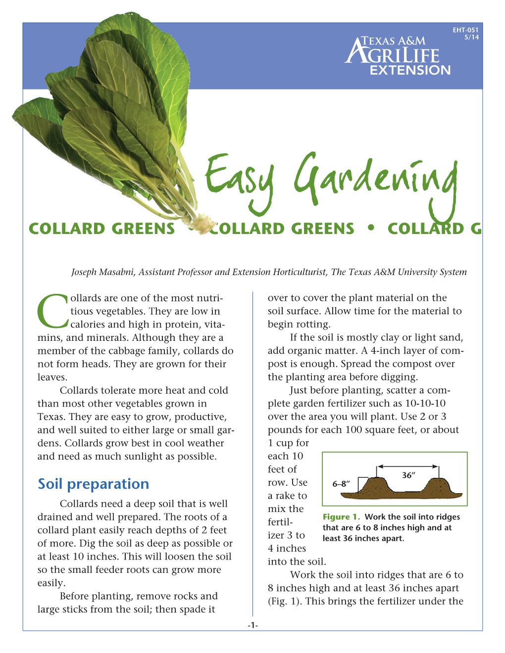 How to Grow Collard Greens