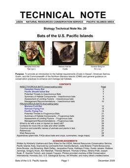 Bats of the US Pacific Islands