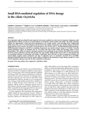 Small RNA-Mediated Regulation of DNA Dosage in the Ciliate Oxytricha