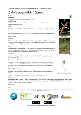 Gahnia Aspera (R.Br.) Spreng. Family: Cyperaceae Sprengel, C.P.J